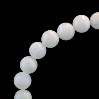 Shell Round Bracelet - 8mm    from The Rock Space