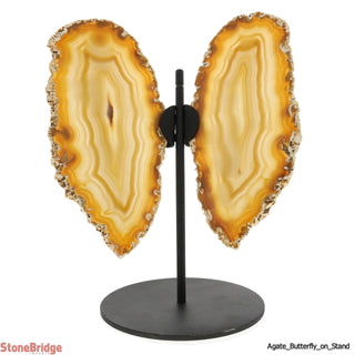 Agate Slice Butterfly With Stand - 8 3/4" x 6"    from The Rock Space