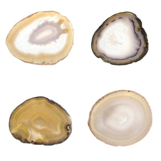 Agate Slices #00 - 1 1/4" to 2" from The Rock Space