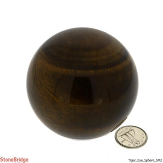 Tiger Eye Sphere - Small #2 - 2 1/4"    from The Rock Space