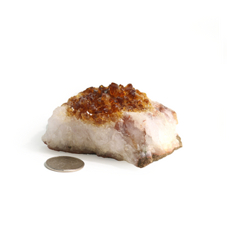 Citrine Cluster #1 - 1" to 2"    from Stonebridge Imports