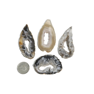 Agate Geode Slices - 4 Pack    from The Rock Space