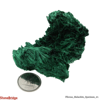 Fibrous Malachite Crystal #1 - 10g to 50g    from The Rock Space