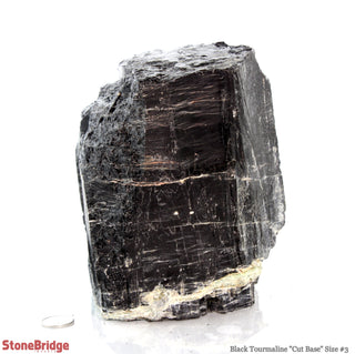 Black Tourmaline Cut Base Tower #3    from The Rock Space