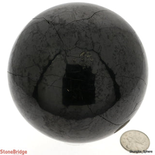 Shungite Sphere - Jumbo #5    from The Rock Space