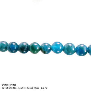 Apatite - Round Strand 7" - 6mm    from Stonebridge Imports