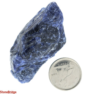 Sodalite Chips - Extra Small    from The Rock Space