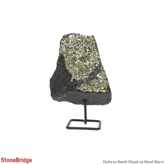 Pyrite on Basalt Specimen on Stand #1 from The Rock Space