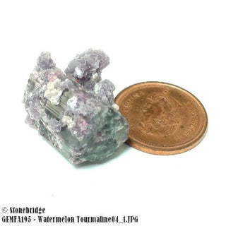 Watermelon Tourmaline Lot #4 - #2    from The Rock Space