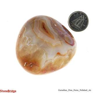 Carnelian Polished Free Form #2 - 100g to 150g    from The Rock Space