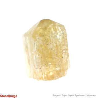 Imperial Topaz Specimen U#9 - 45ct    from The Rock Space