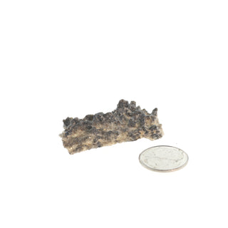 Fulgurite Petrified Lightning #1 - 1" to 2"    from The Rock Space