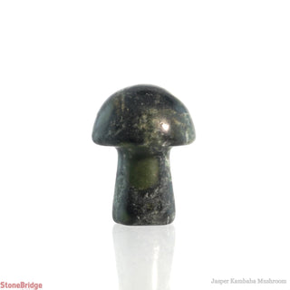 Kambaba Jasper Mushroom    from The Rock Space