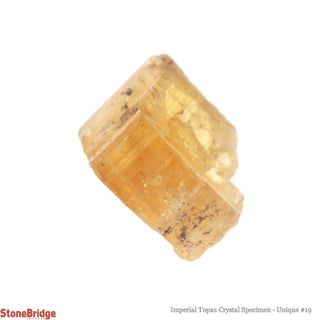 Imperial Topaz Specimen U#19 - 50.5ct    from The Rock Space