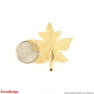 Electroplated Jewelry Leaves - Type #14 - Gold    from The Rock Space