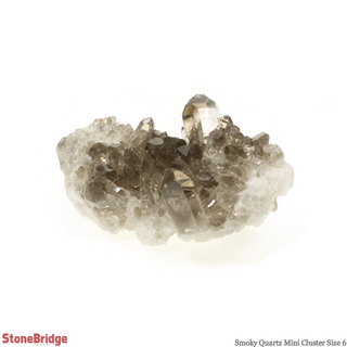 Smoky Quartz Mini Cluster #6 from The Rock Space