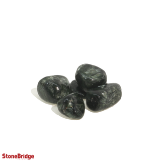 Seraphinite A Tumbled Stones    from Stonebridge Imports