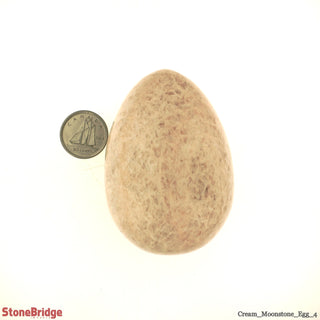 Cream Moonstone Egg #4 - 2 1/4" to 2 1/2"    from The Rock Space