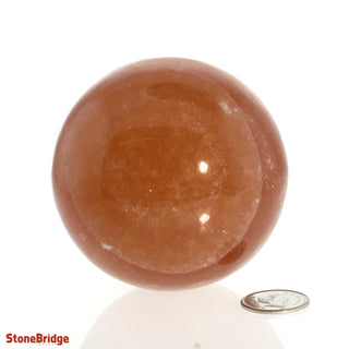 Calcite Honey Sphere - Small #4 - 2 1/2"    from The Rock Space