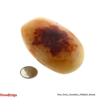 Carnelian Polished Free Form #4 - 230g to 280g    from The Rock Space