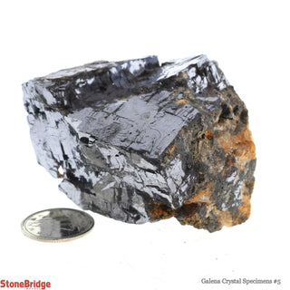 Galena Crystal Specimens #5    from Stonebridge Imports