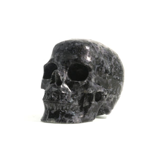 Gabbro Skull U#22    from The Rock Space