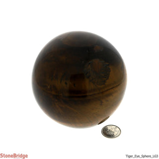 Tiger Eye Sphere - Large #3 - 3 1/4"    from The Rock Space