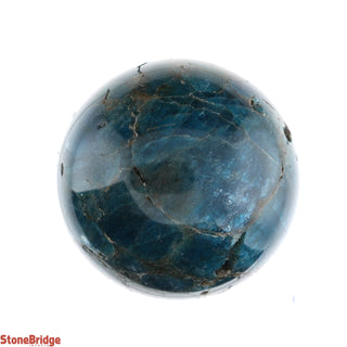 Apatite Blue Sphere - Small #3 - 2 1/4"    from The Rock Space