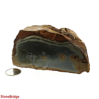 Polychrome Jasper Chunk #1    from The Rock Space