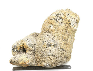 Albite with Cleavelandite Crystal U#3 - 18"    from Stonebridge Imports