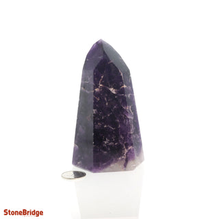 Amethyst A Generator #6 Tall    from The Rock Space