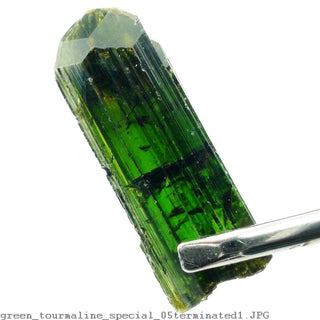 Tourmaline Green Terminated Specimen    from The Rock Space