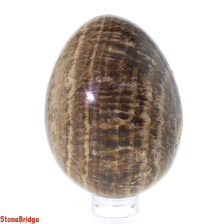Brown Aragonite Egg #2 - 60g to 99g    from Stonebridge Imports