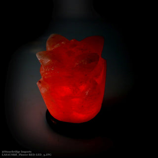 USB Salt Lamp - Flower    from The Rock Space