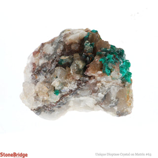 Dioptase Specimen on Matrix U#63 - 1 1/2"    from The Rock Space