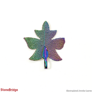 Electroplated Jewelry Leaves - Type #8 - Rainbow    from The Rock Space