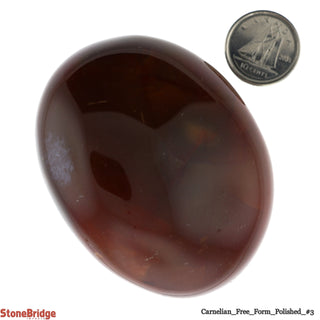 Carnelian Polished Free Form #3 - 150g to 230g    from The Rock Space