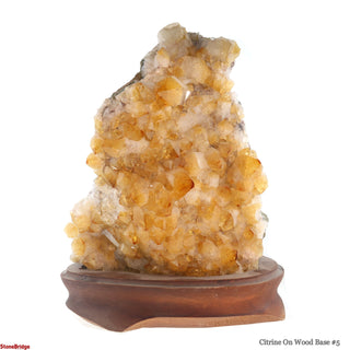 Citrine Cluster on Wood Base #5 - 9"    from The Rock Space