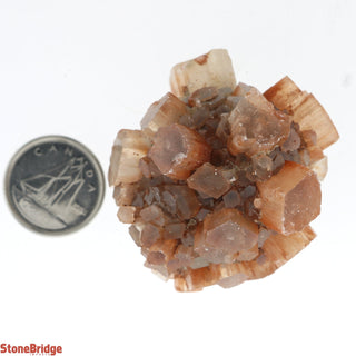 Aragonite Sputnik Cluster #3    from The Rock Space