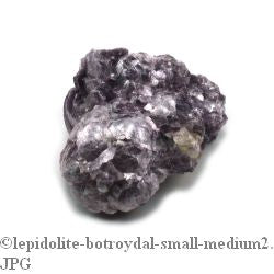 Lepidolite Botryoidal - Small    from The Rock Space