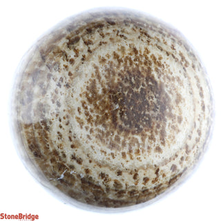 Aragonite Brown Sphere - Small #1 - 2 1/4"    from The Rock Space