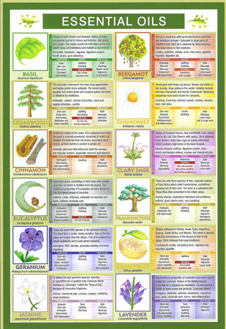 QuickStudy Guide - Essential Oils    from The Rock Space