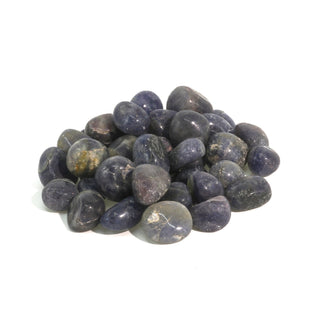 Iolite Tumbled Stones - India Small from The Rock Space