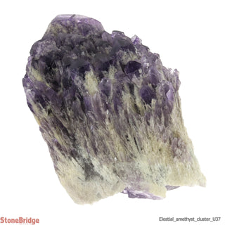 Amethyst Elestial Quartz Cluster U#37 - 8 1/2"    from Stonebridge Imports