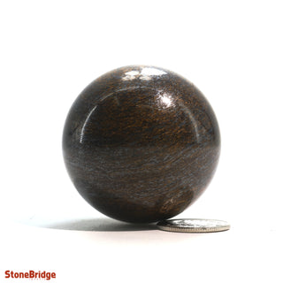 Bronzite Sphere - Extra Small #2 - 1 3/4" from The Rock Space