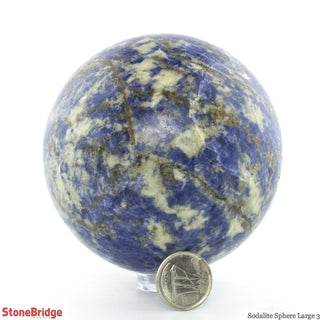 Sodalite Sphere - Large #3 - 3 1/4"    from The Rock Space