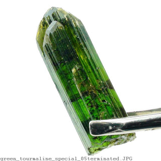 Tourmaline Green Terminated Specimen    from The Rock Space