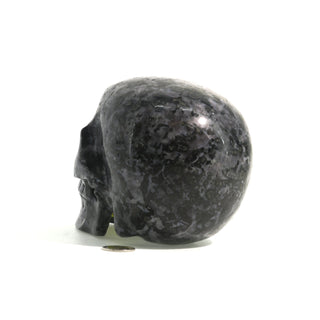 Gabbro Skull U#22    from The Rock Space