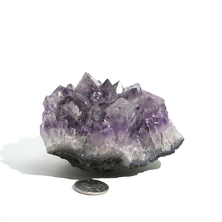 Amethyst Clusters #2 - 2" to 4"    from The Rock Space