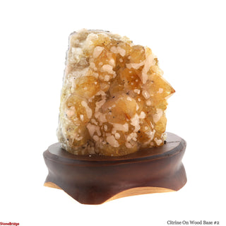 Citrine Cluster on Wood Base #2 - 8"    from The Rock Space